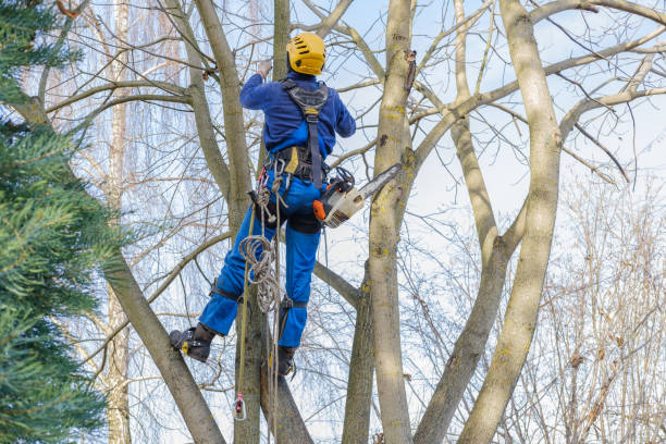 Mulching Services in Smithfield, NC