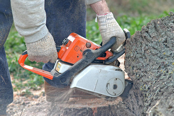 Best Tree Risk Assessment  in Smithfield, NC